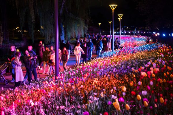 Floriade, Australia??s Biggest Celebration of Spring, returns annually to Commonwealth Park on the shores of Lake Burley Griffin. It features extensive displays of flowering bulbs with integrated sculptures and other artistic features.