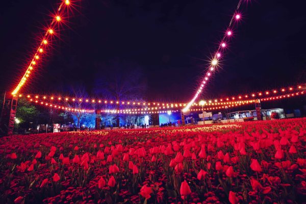 Floriade Nightfest 2012-13